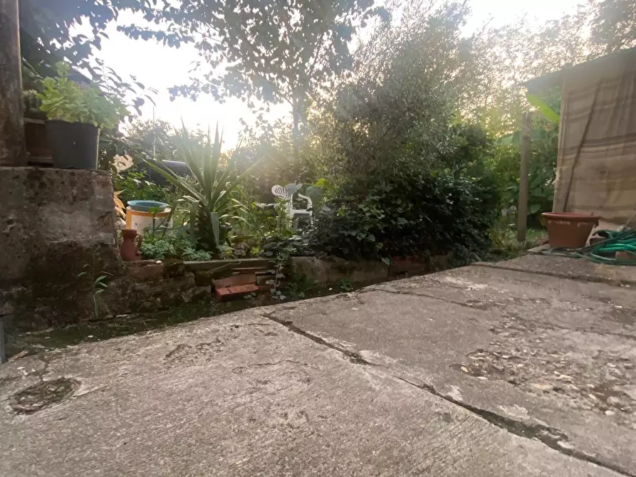 Immagine 26 di Terratetto in vendita  a Montelupo Fiorentino