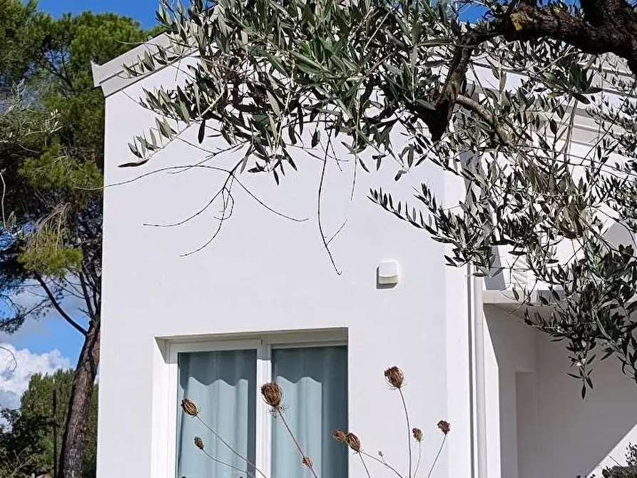 Immagine 27 di Casa indipendente in vendita  a Empoli