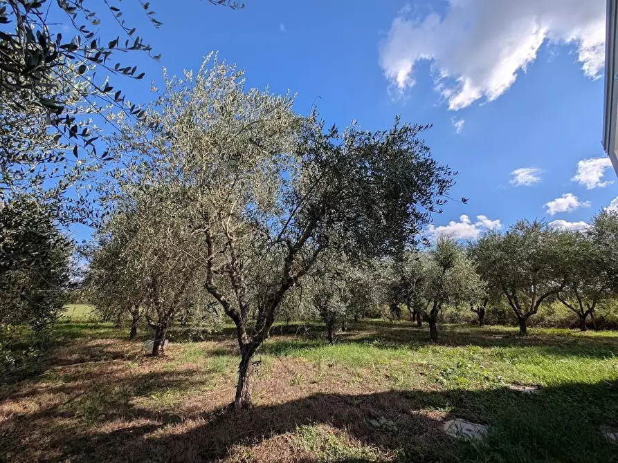 Immagine 36 di Casa indipendente in vendita  a Empoli