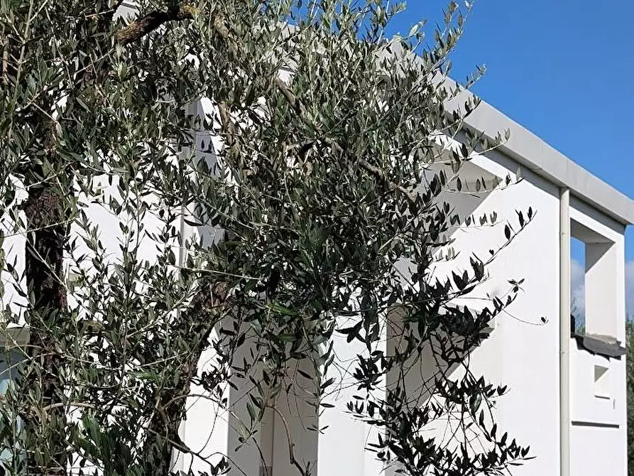 Immagine 33 di Casa indipendente in vendita  a Empoli