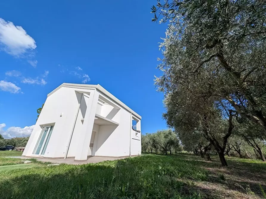 Immagine 24 di Casa indipendente in vendita  a Empoli