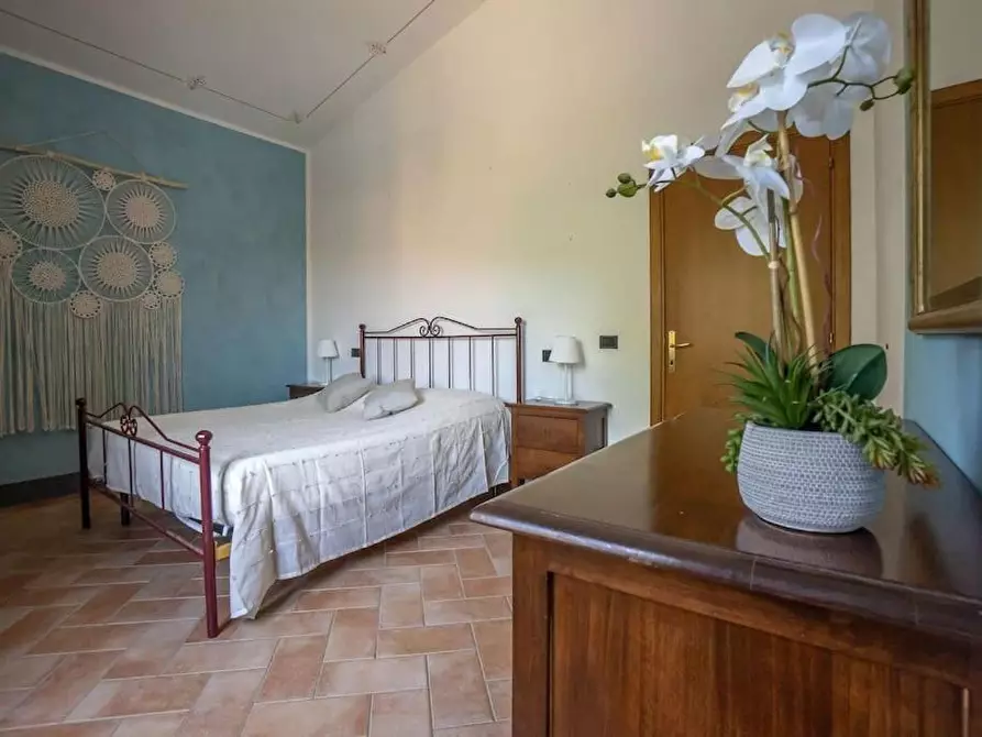 Immagine 11 di Casa colonica in vendita  a Volterra