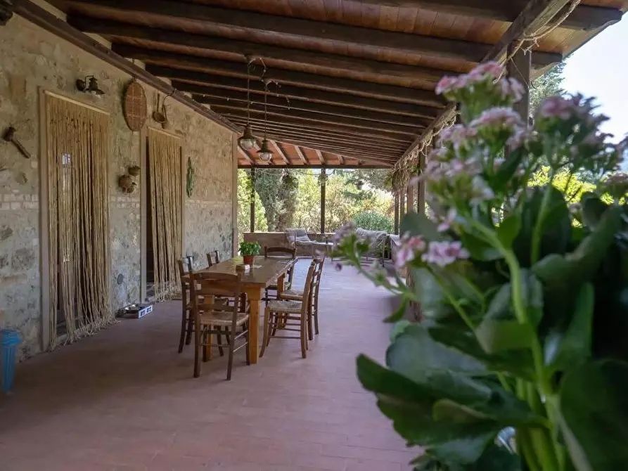 Immagine 21 di Casa colonica in vendita  a Volterra