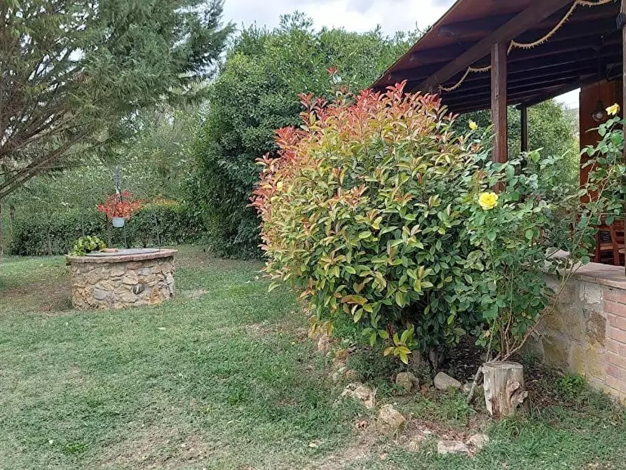 Immagine 3 di Casa colonica in vendita  a Volterra