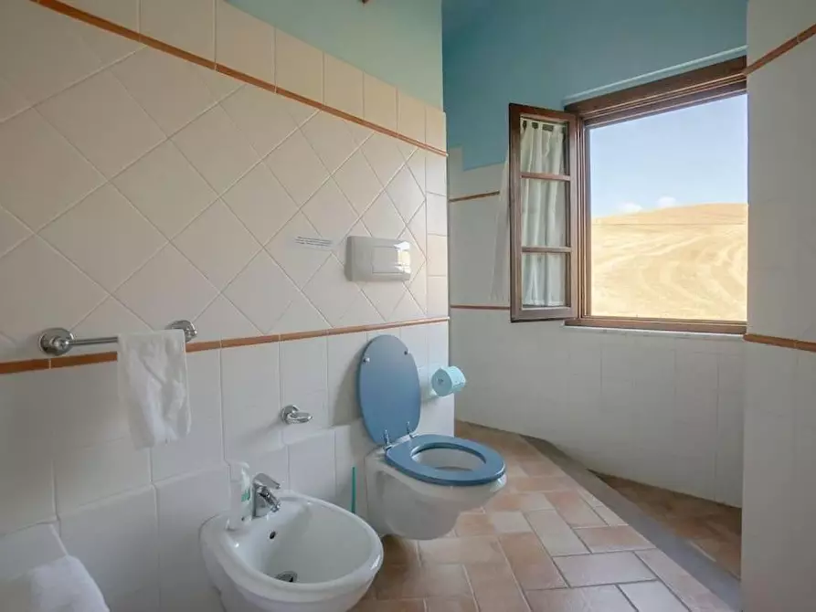 Immagine 13 di Casa colonica in vendita  a Volterra