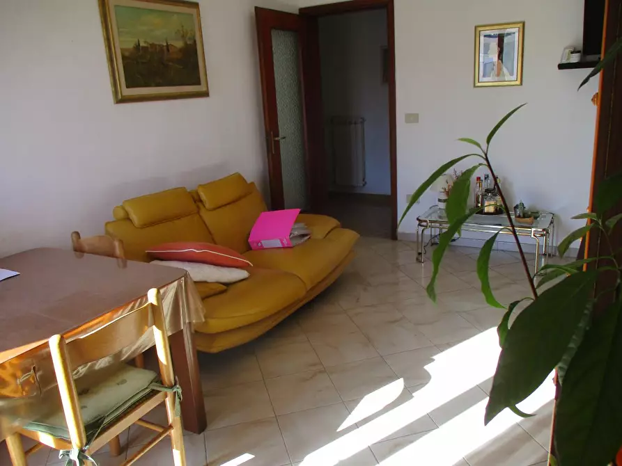 Immagine 5 di Appartamento in vendita  a Pontedera