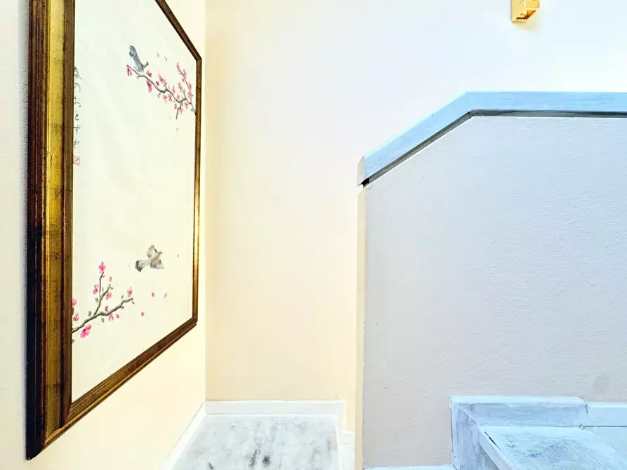 Immagine 46 di Casa bifamiliare in vendita  a Camaiore