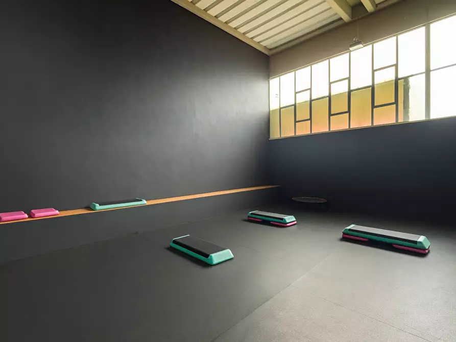 Immagine 6 di Attività artigianale in affitto  a Bientina