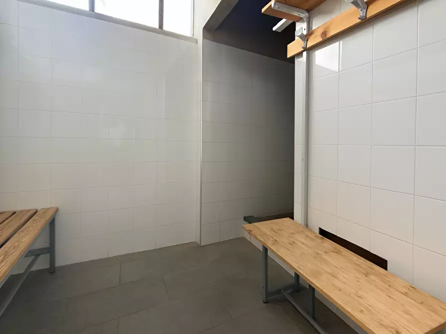 Immagine 13 di Attività artigianale in affitto  a Bientina