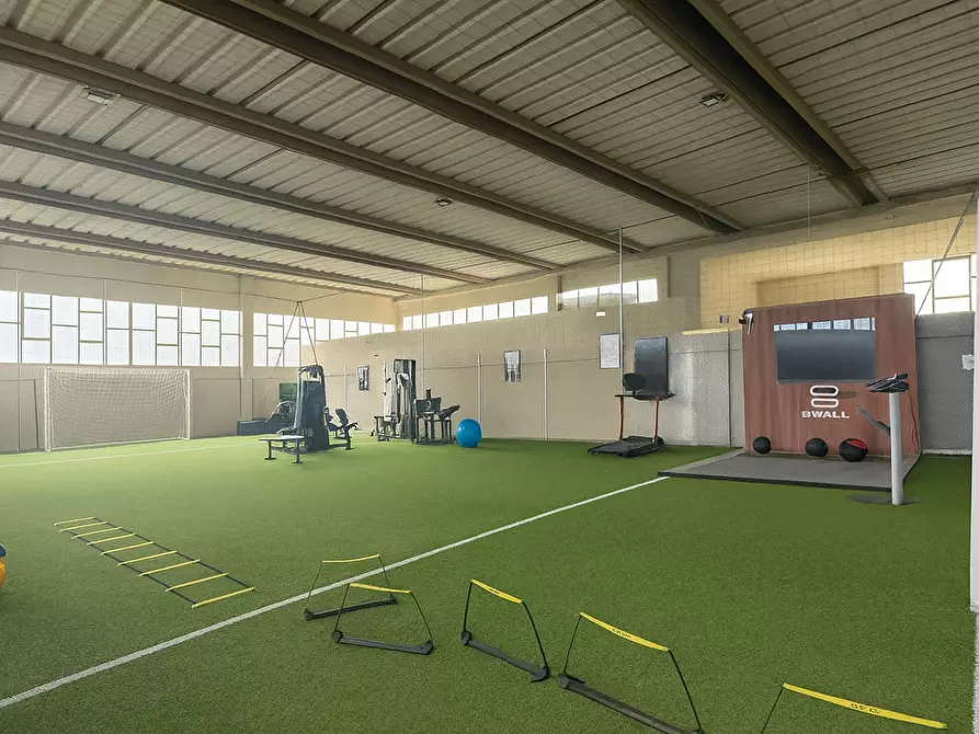 Immagine 5 di Attività artigianale in affitto  a Bientina