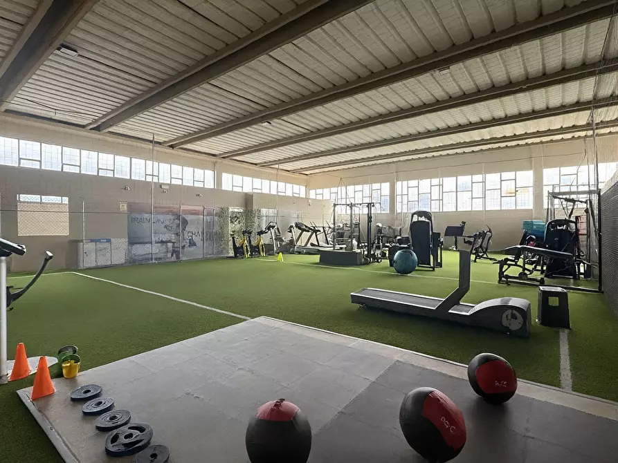 Immagine 4 di Attività artigianale in affitto  a Bientina