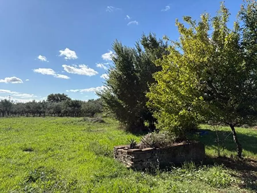 Immagine 34 di Casa semindipendente in vendita  a Crespina Lorenzana