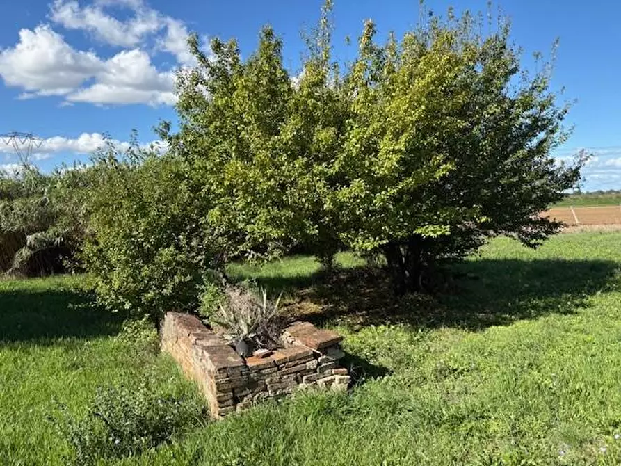 Immagine 35 di Casa semindipendente in vendita  a Crespina Lorenzana
