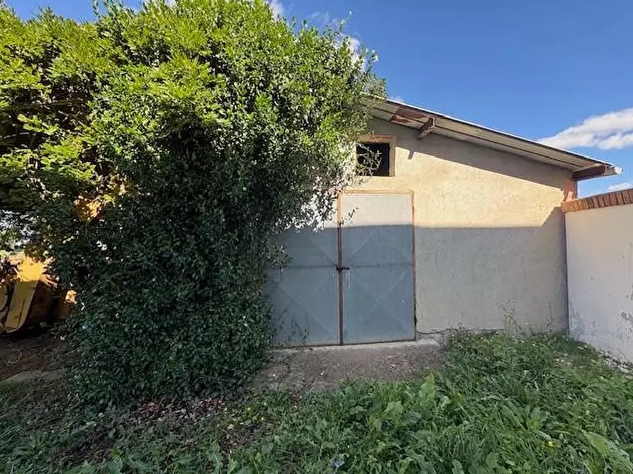 Immagine 36 di Casa semindipendente in vendita  a Crespina Lorenzana