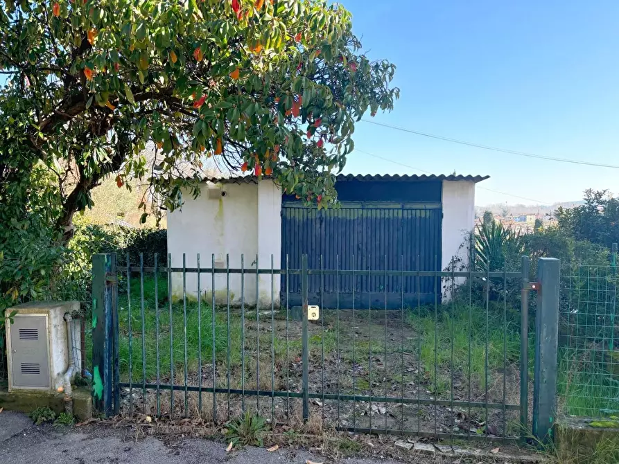 Immagine 12 di Terratetto in vendita  a Lucca