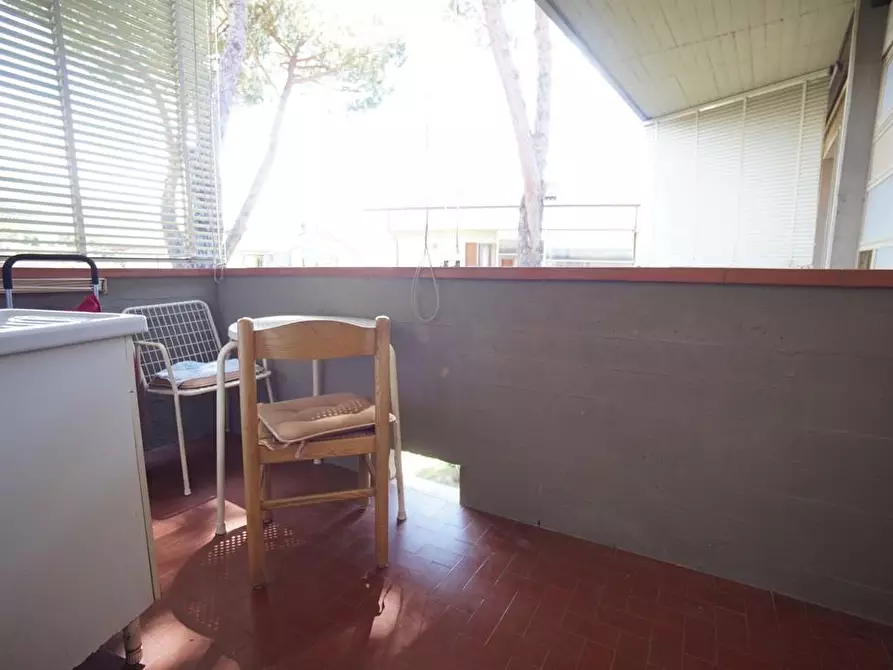 Immagine 4 di Appartamento in vendita  a Massa