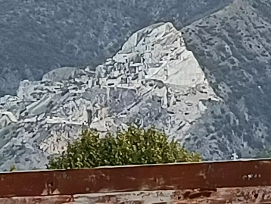 Immagine 27 di Appartamento in vendita  a Carrara