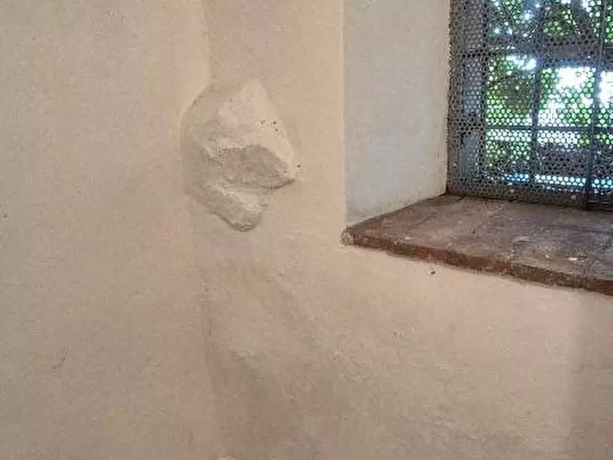 Immagine 22 di Appartamento in vendita  a Calci