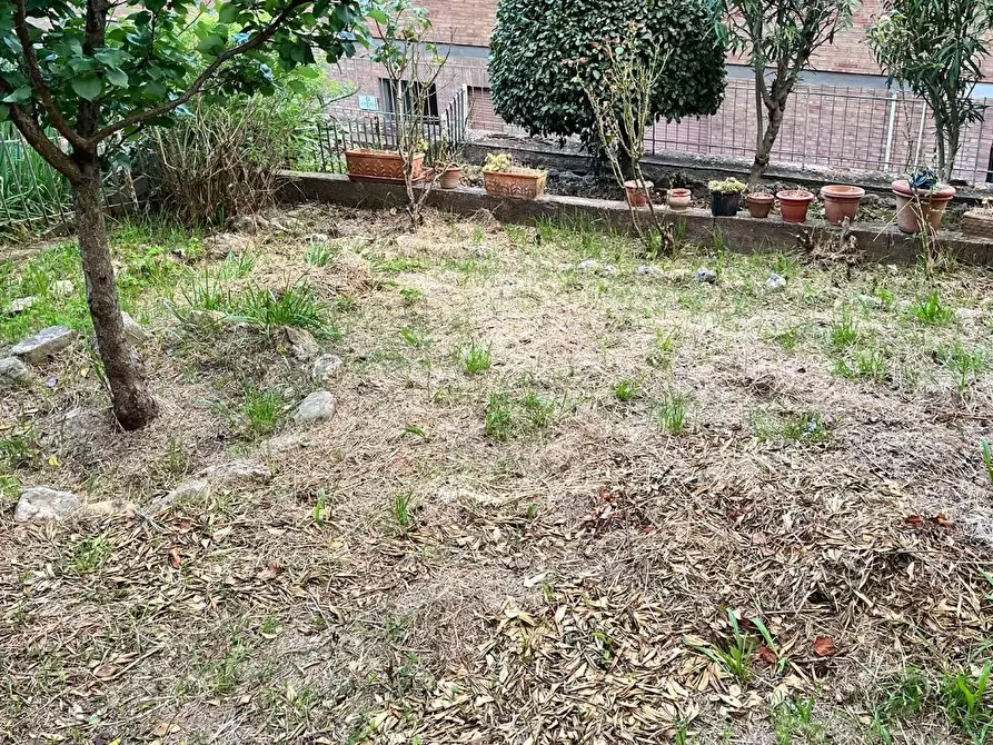 Immagine 15 di Appartamento in vendita  a Siena