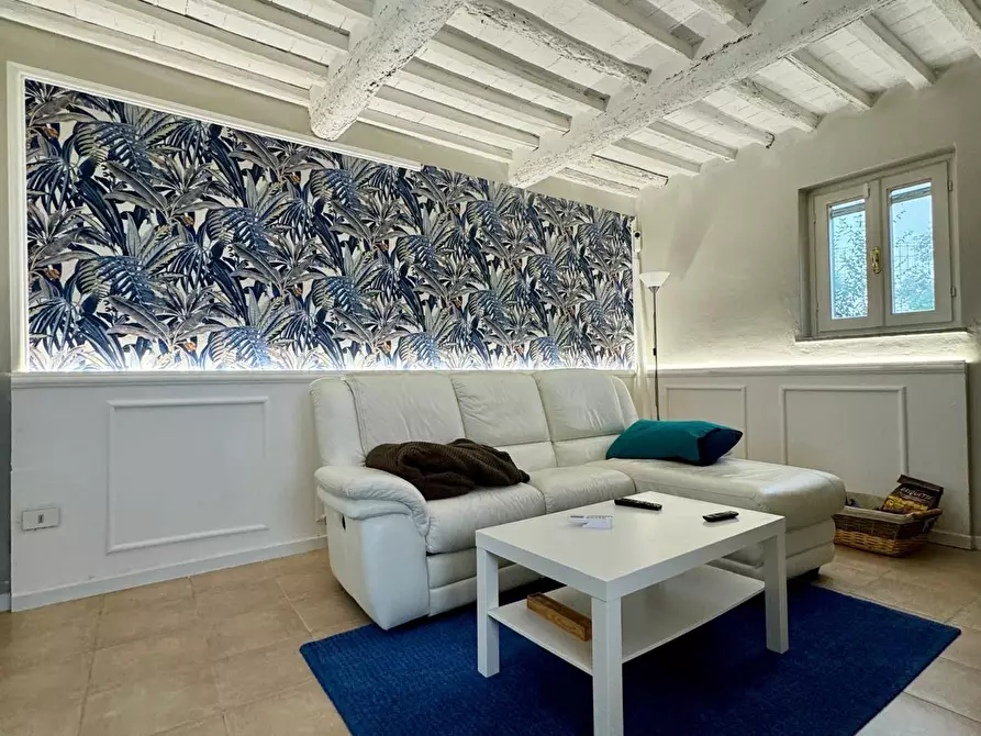 Immagine 13 di Terratetto in vendita  a Montecarlo