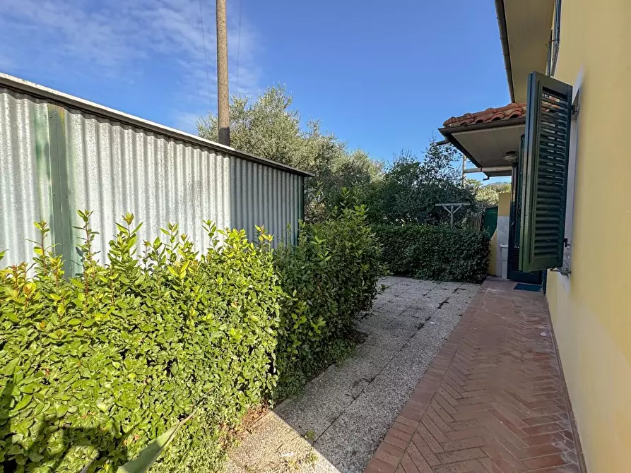 Immagine 6 di Casa bifamiliare in vendita  a Lamporecchio