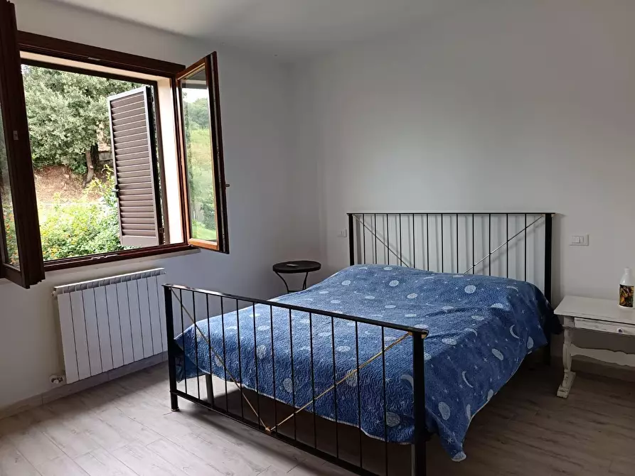 Immagine 13 di Appartamento in vendita  a Rosignano Marittimo