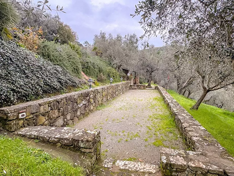 Immagine 52 di Casa colonica in vendita  a Vinci