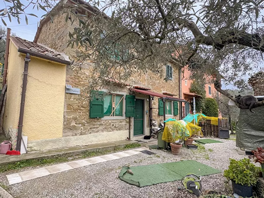 Immagine 46 di Casa colonica in vendita  a Vinci