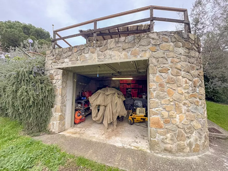 Immagine 41 di Casa colonica in vendita  a Vinci