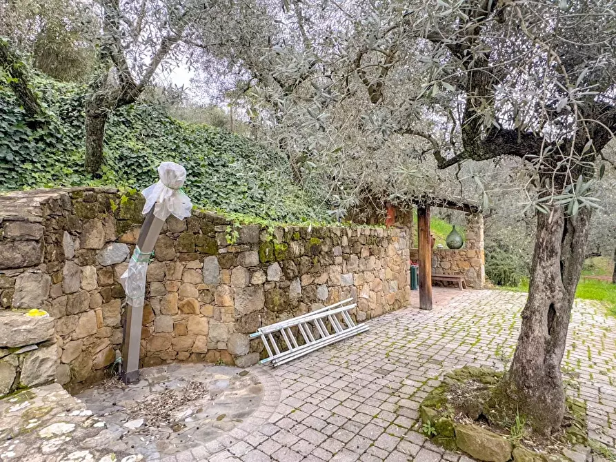 Immagine 43 di Casa colonica in vendita  a Vinci