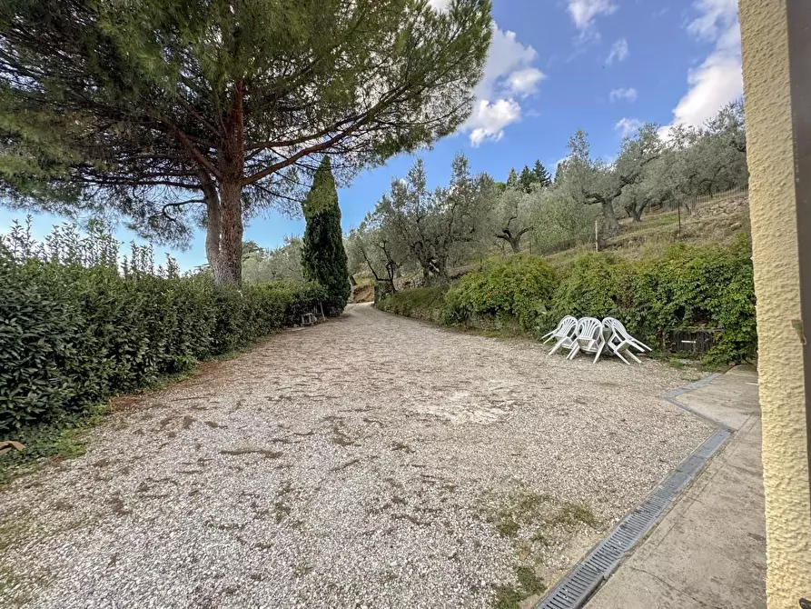 Immagine 62 di Casa colonica in vendita  a Vinci