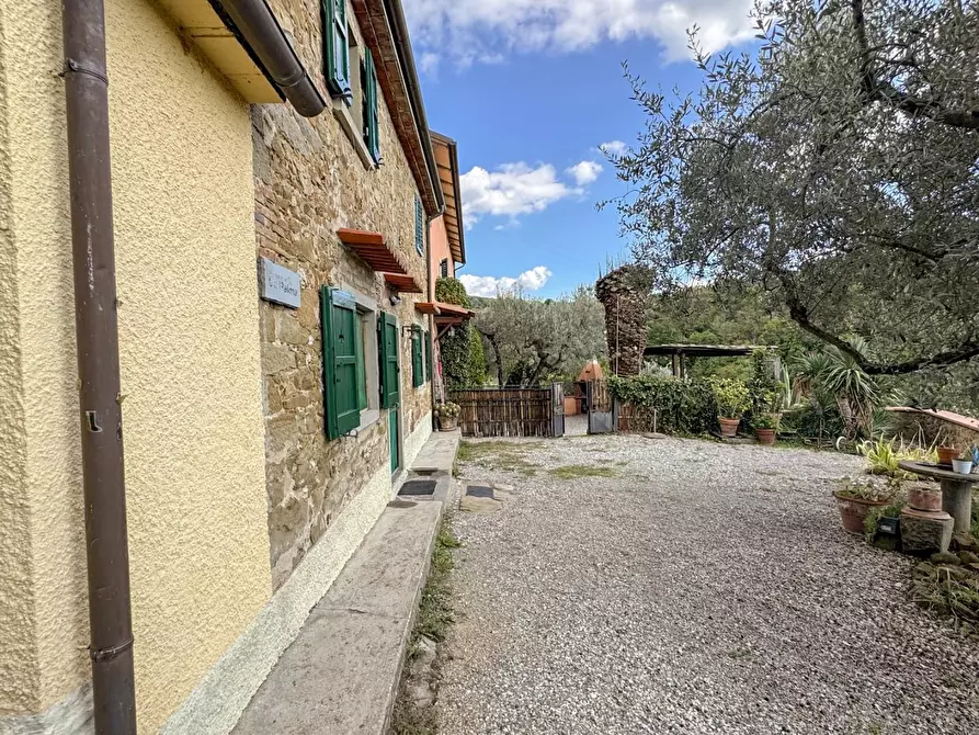 Immagine 5 di Casa colonica in vendita  a Vinci