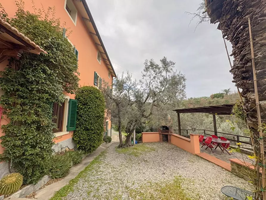 Immagine 50 di Casa colonica in vendita  a Vinci