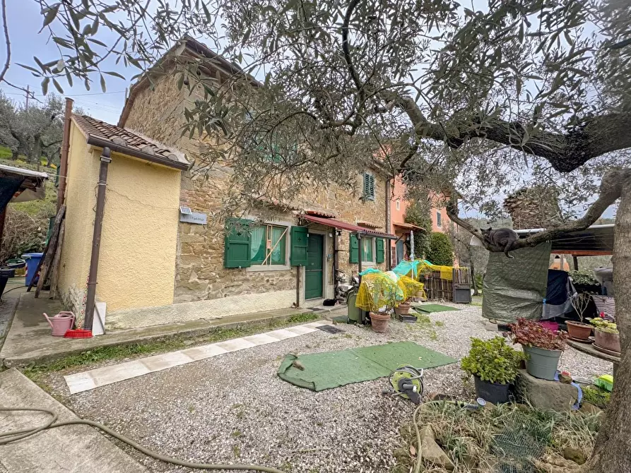 Immagine 3 di Casa colonica in vendita  a Vinci