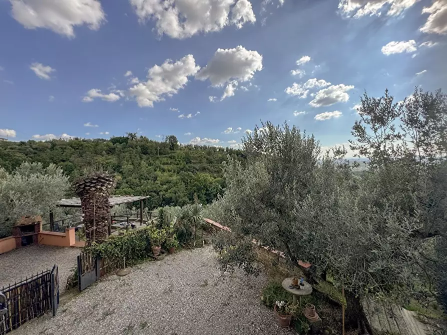 Immagine 61 di Casa colonica in vendita  a Vinci