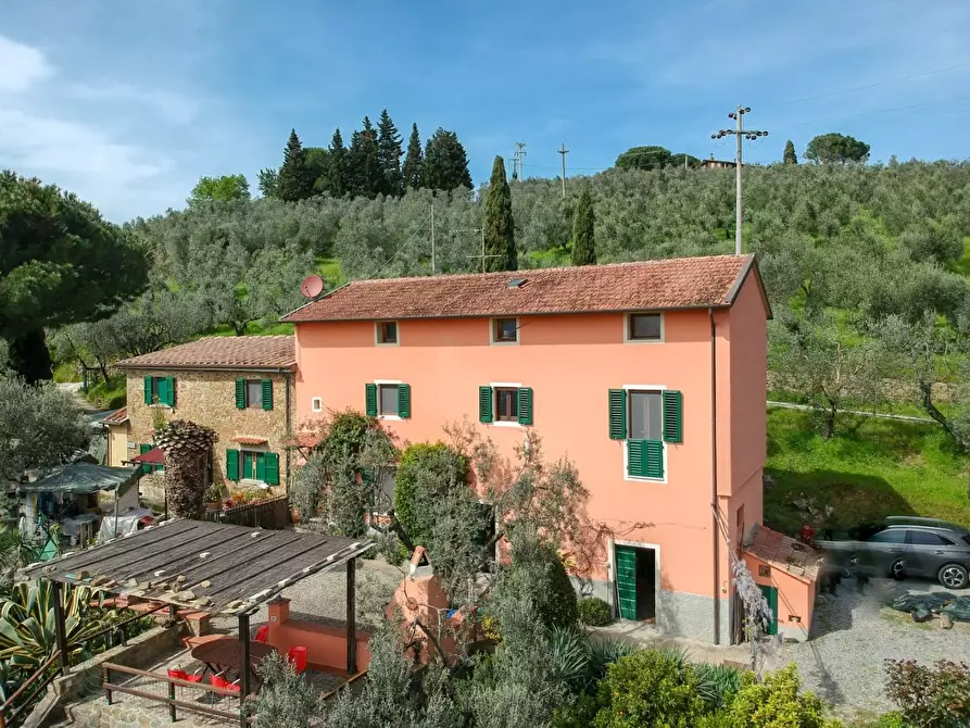 Immagine 4 di Casa colonica in vendita  a Vinci