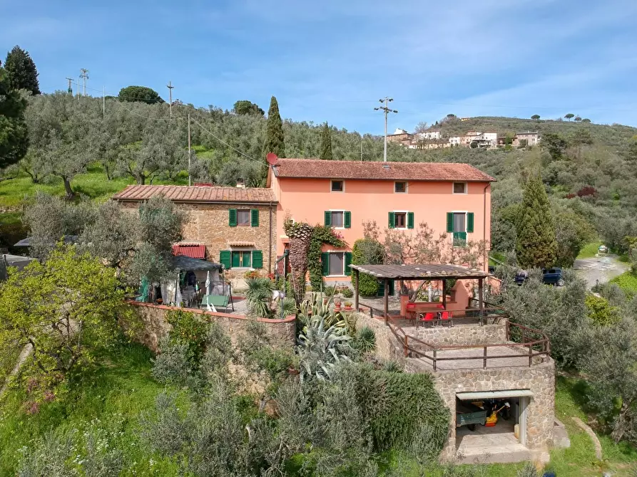 Immagine 7 di Casa colonica in vendita  a Vinci