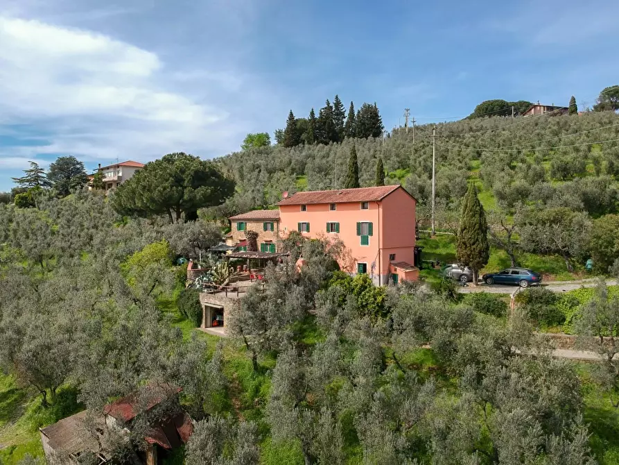 Immagine 48 di Casa colonica in vendita  a Vinci