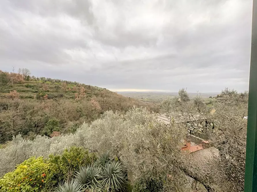 Immagine 49 di Casa colonica in vendita  a Vinci