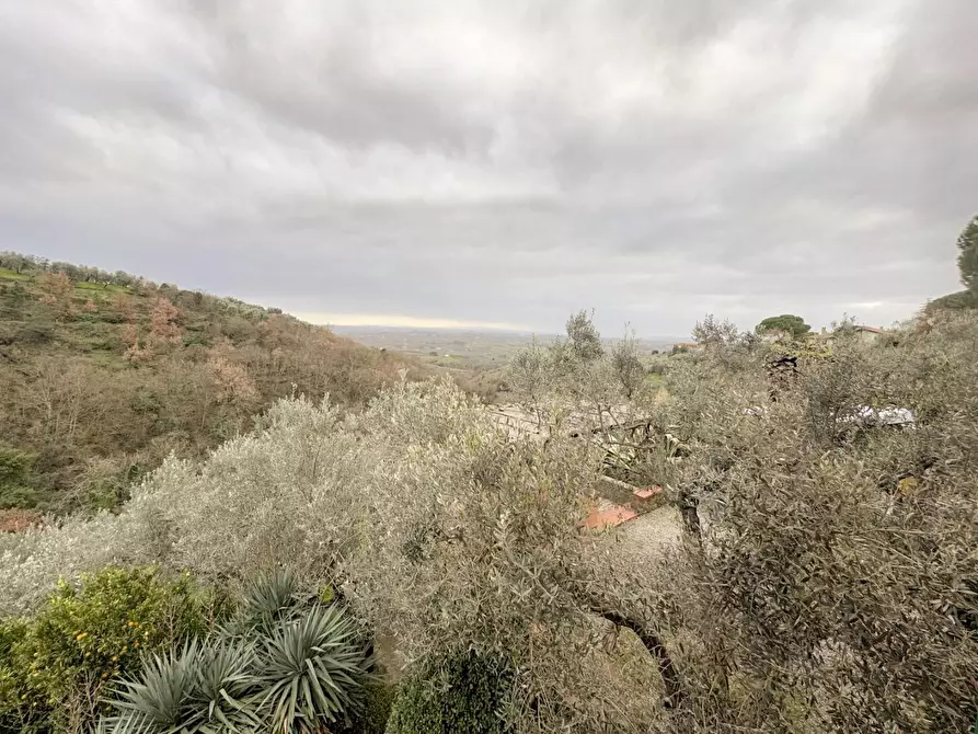 Immagine 31 di Casa colonica in vendita  a Vinci