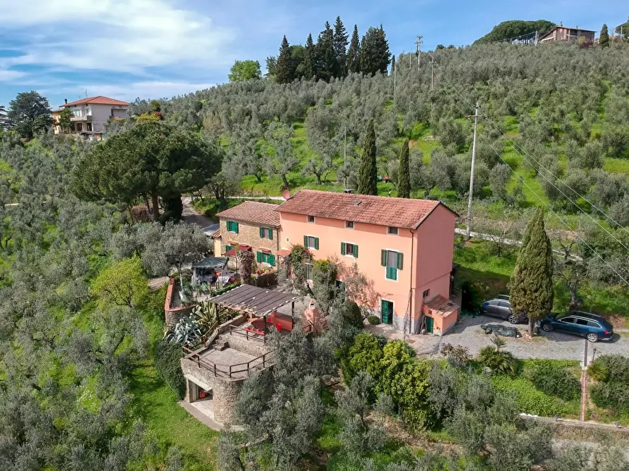 Immagine 6 di Casa colonica in vendita  a Vinci