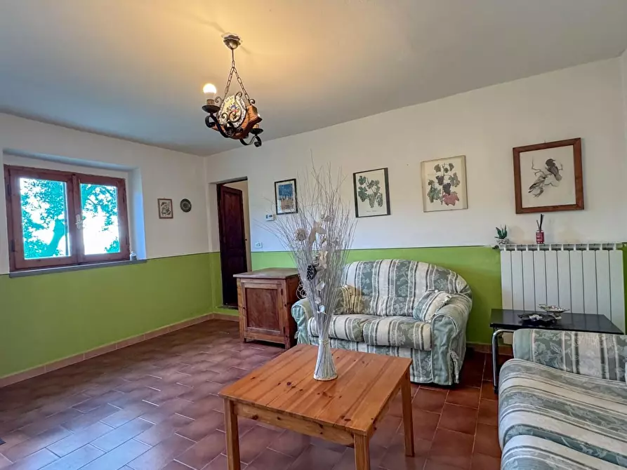 Immagine 58 di Casa colonica in vendita  a Vinci