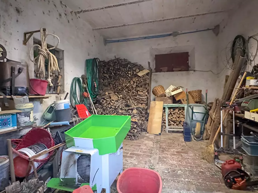 Immagine 38 di Casa colonica in vendita  a Vinci