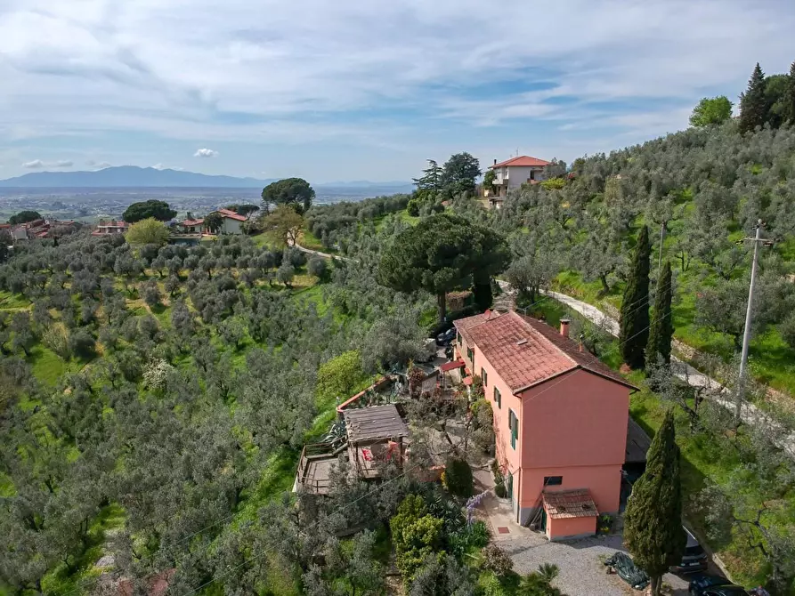 Immagine 47 di Casa colonica in vendita  a Vinci