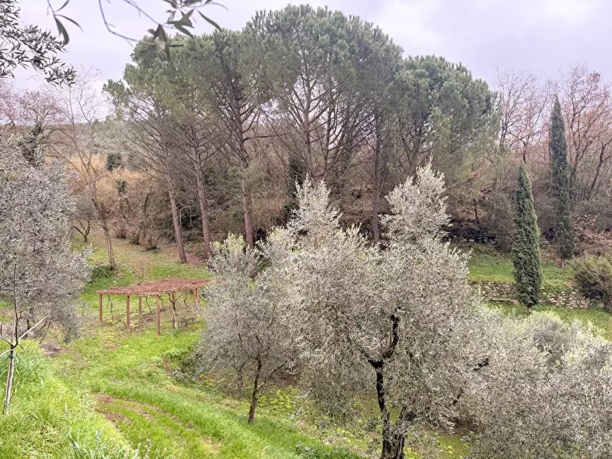 Immagine 45 di Casa colonica in vendita  a Vinci