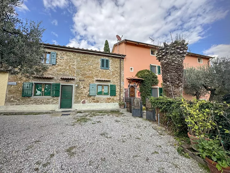 Immagine 2 di Casa colonica in vendita  a Vinci