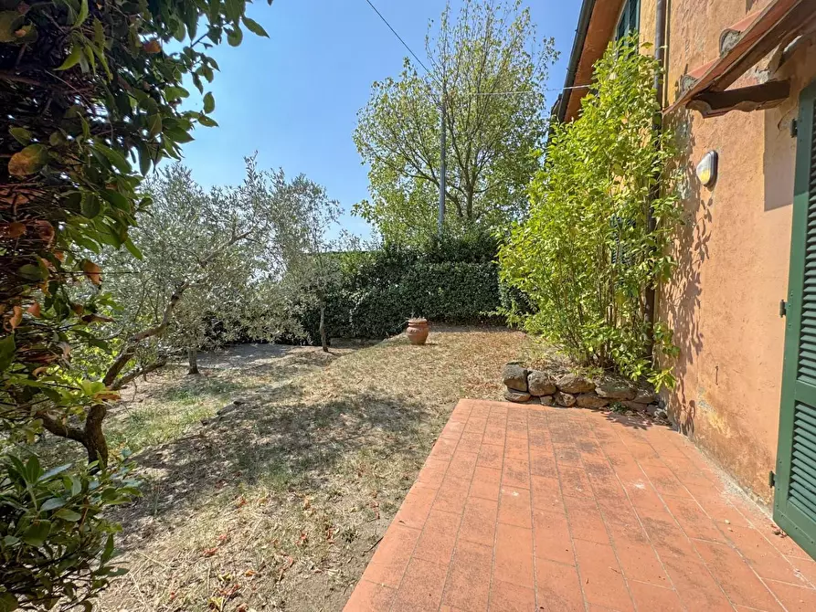 Immagine 59 di Casa colonica in vendita  a Lamporecchio