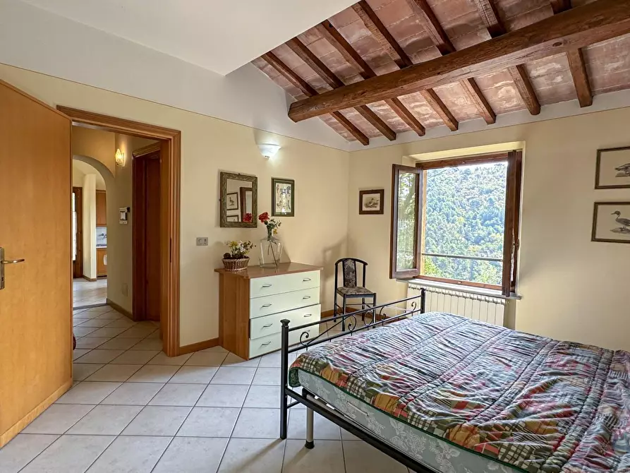 Immagine 52 di Casa colonica in vendita  a Lamporecchio
