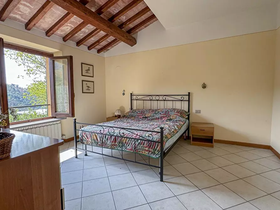 Immagine 51 di Casa colonica in vendita  a Lamporecchio