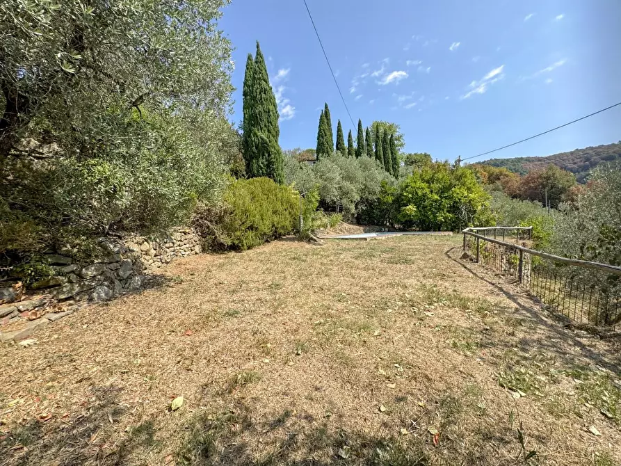 Immagine 61 di Casa colonica in vendita  a Lamporecchio